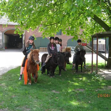 Appartement Rustemeier Altenberge (Steinfurt)
