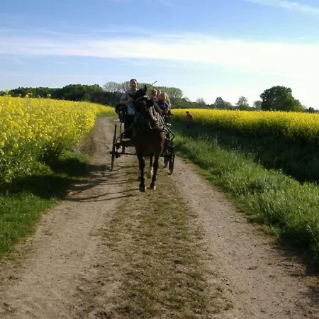 Rustemeier Apartment