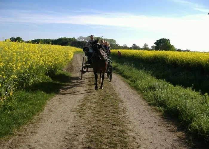 Rustemeier Appartement
